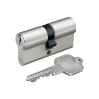 BASI V50 Kurzzylinder